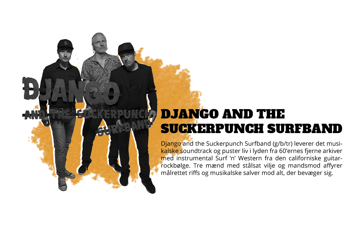 Picture of Django and the Suckerpunch Surfband